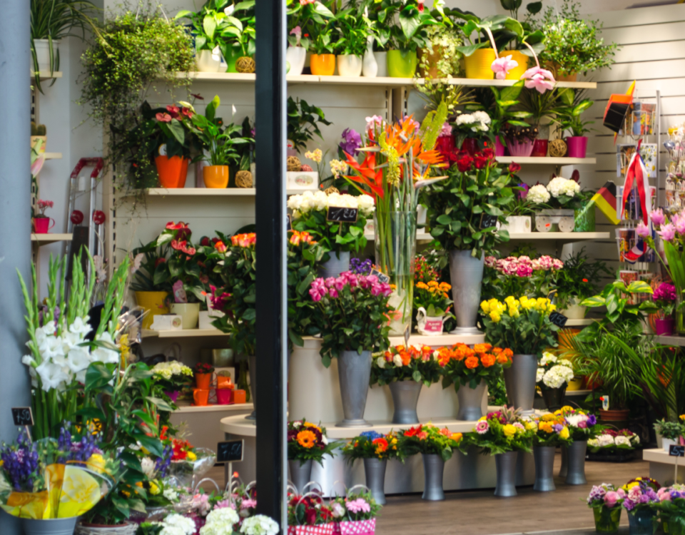 Top 5 Florerías en Tegucigalpa que Deberías Conocer
